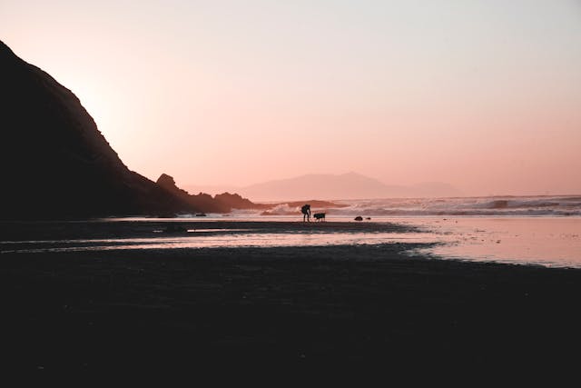 Découvrez le charme du camping à Hasparren au pays basque